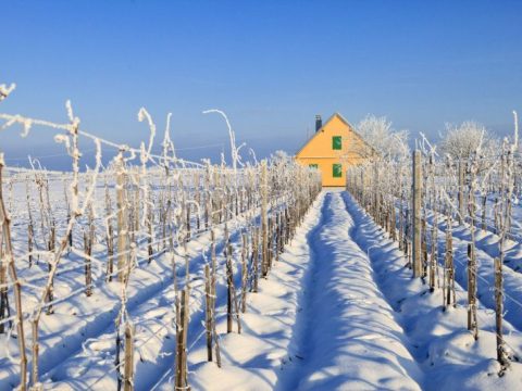 Četiri zimske priče – jedna mistična destinacija – Erdut
