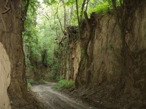 Baranjska planinarska obilaznica
