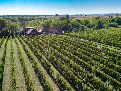 Zemlja vina