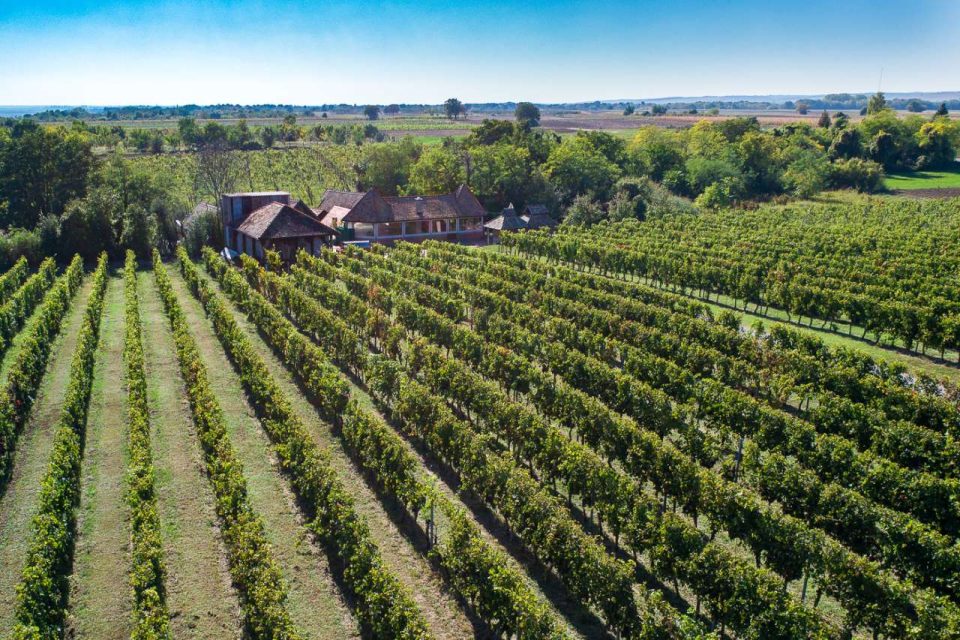 Zemlja vina