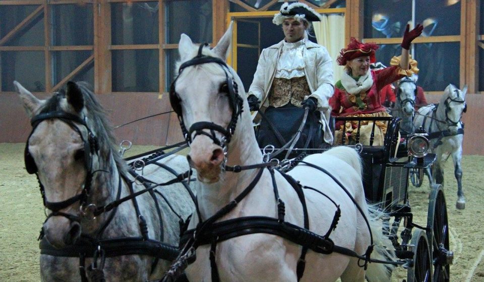 Božićni bal lipicanaca u Ergeli Đakovo