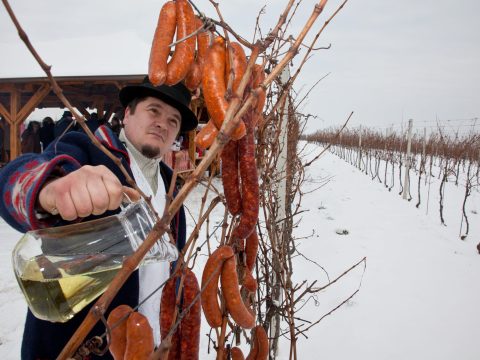 VINSKI OBIČAJI, proslava tradicije i zajedništva