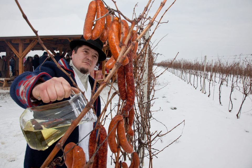 VINSKI OBIČAJI, proslava tradicije i zajedništva