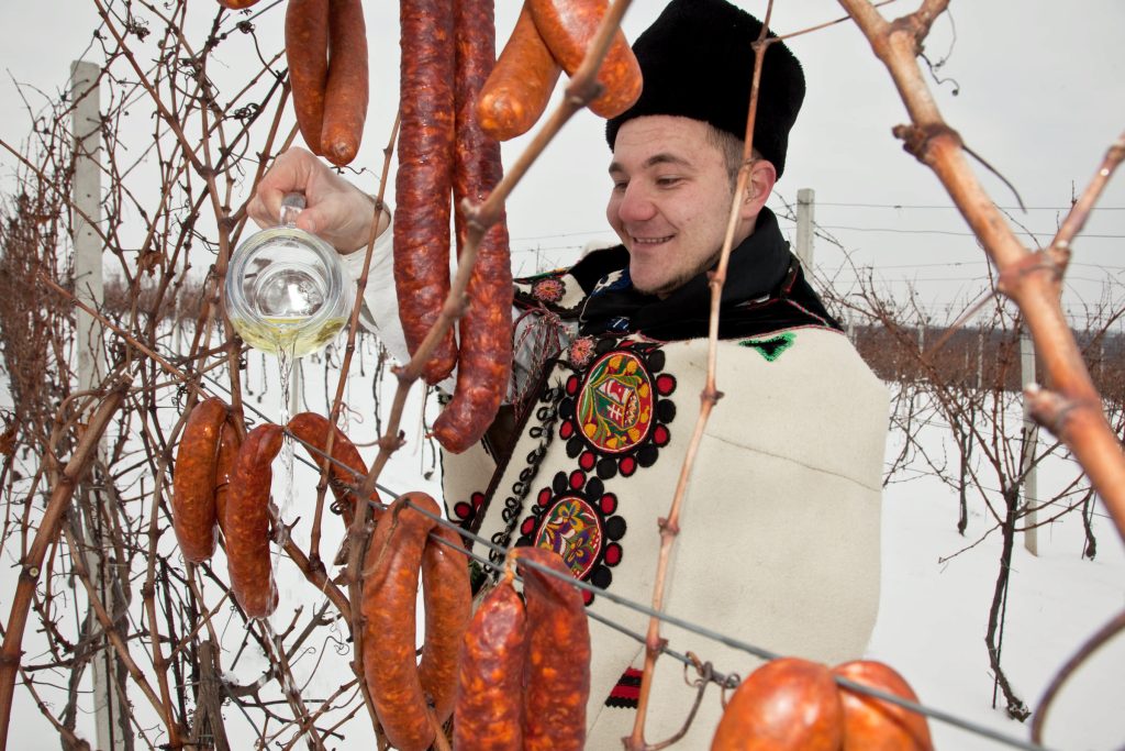 Tradicija u vinogradu uz sv. Vinka, foto: Mario Romulić