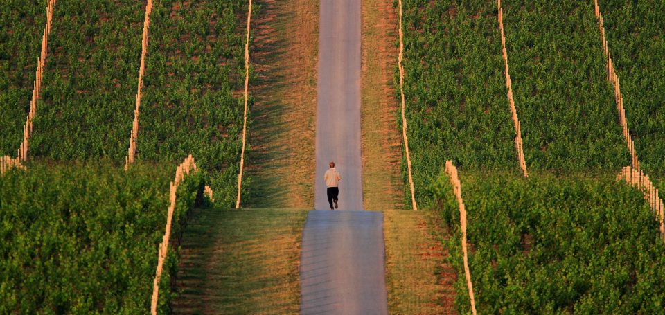 Vinograd, najdraži grad