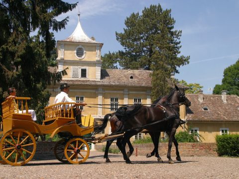 Baranja – Bilje i Kopački Rit