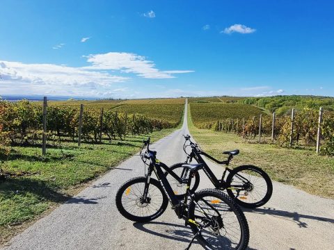 Rent eBike Baranja