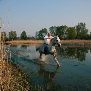 JAHANJE U SLAVONIJI I BARANJI Više od sporta