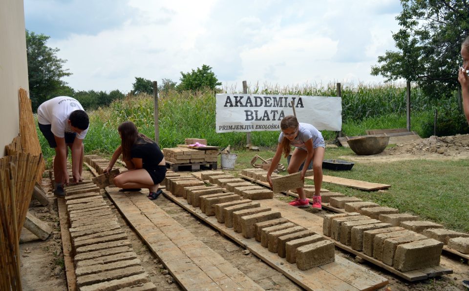 Akademija blata