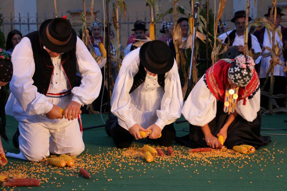 25. “Zlatna berba”, smotra izvornog folklora