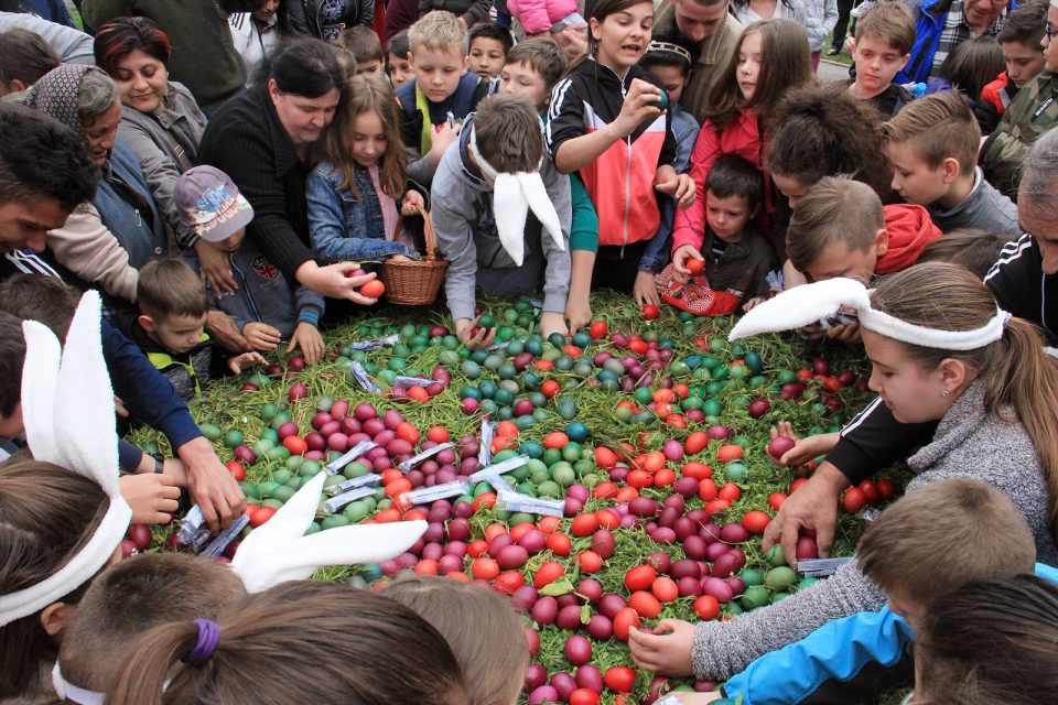 Gnijezdo s 1000 pisanica u Belišću