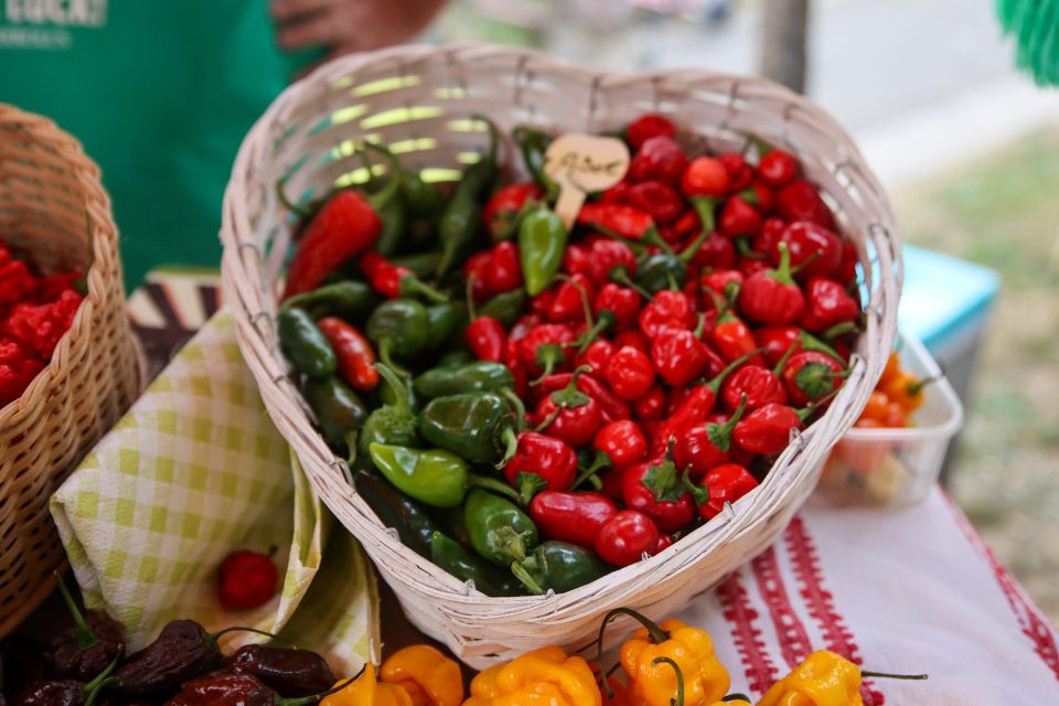 14. Paprika fest u Lugu