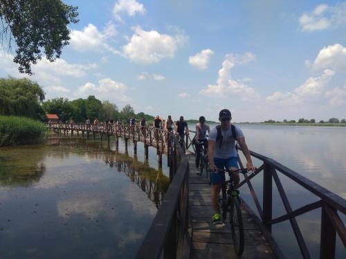 Biking in Kopačevo